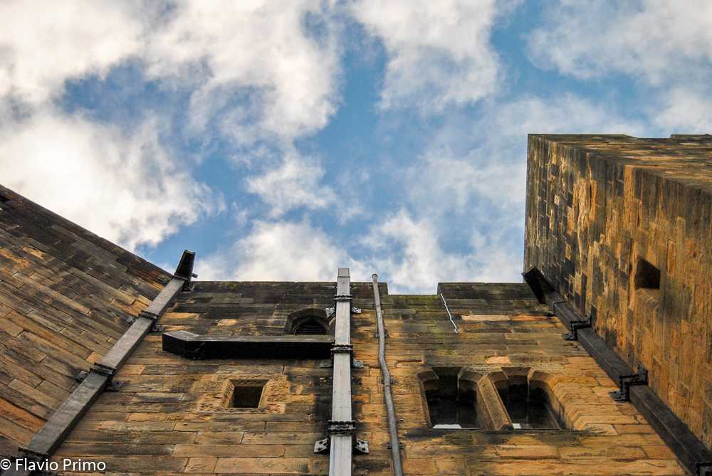 photo in the gallery