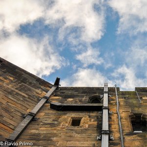 big size photo in the gallery