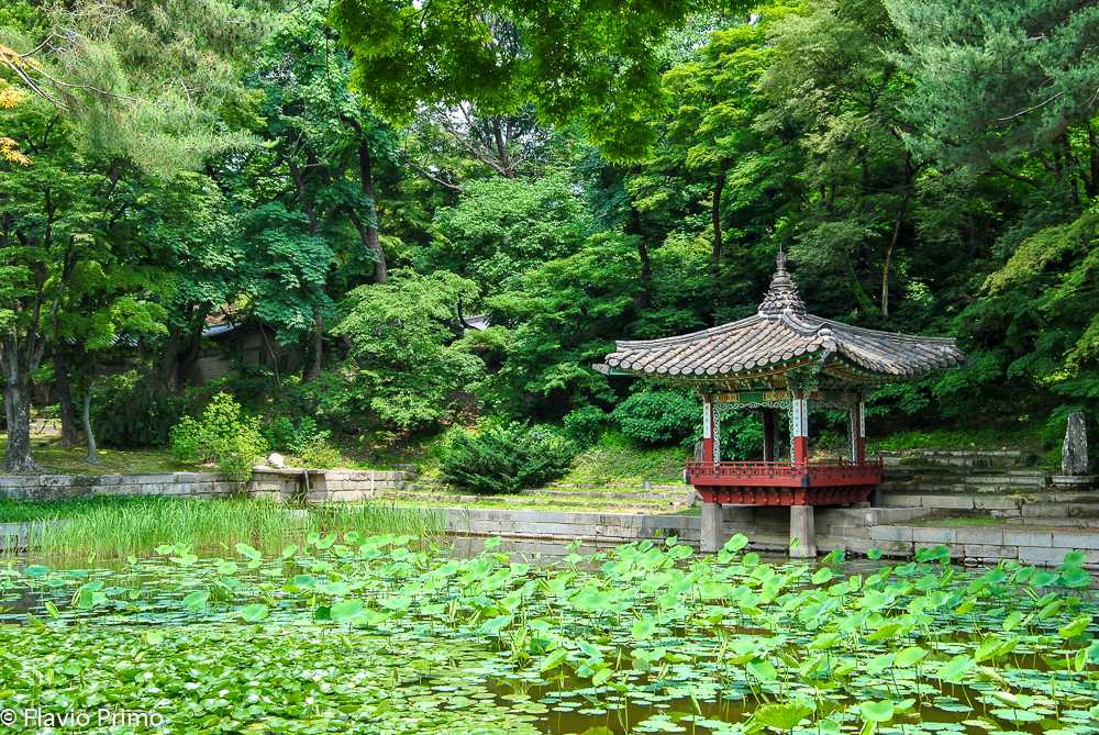 photo in the gallery