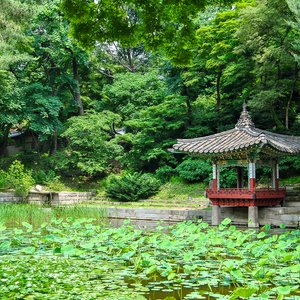 big size photo in the gallery