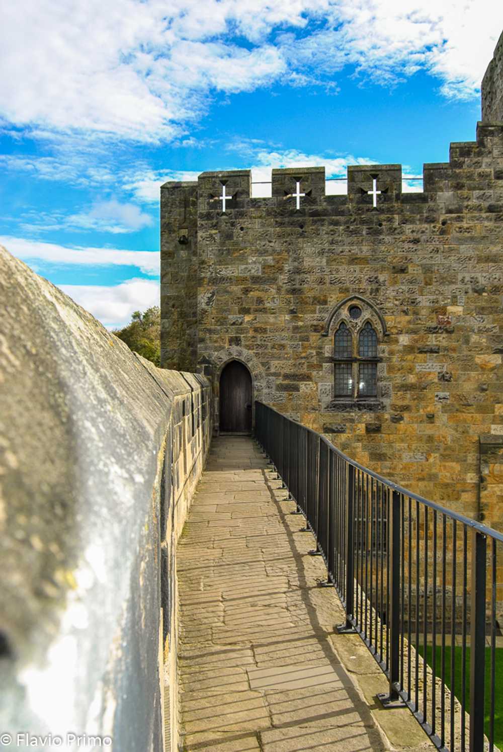 photo in the gallery