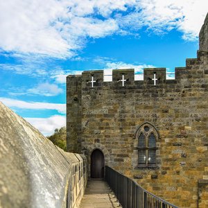 big size photo in the gallery