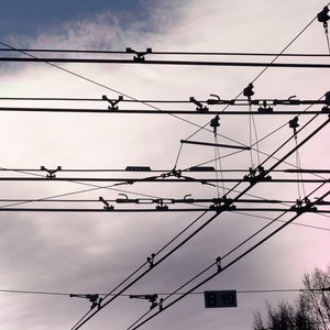 big size photo in the gallery