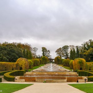 big size photo in the gallery