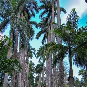 big size photo in the gallery