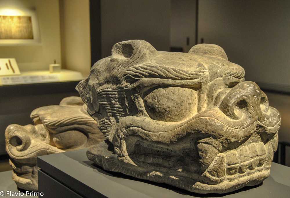 photo in the gallery