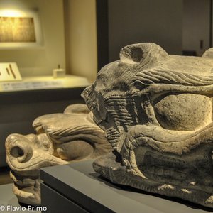 big size photo in the gallery