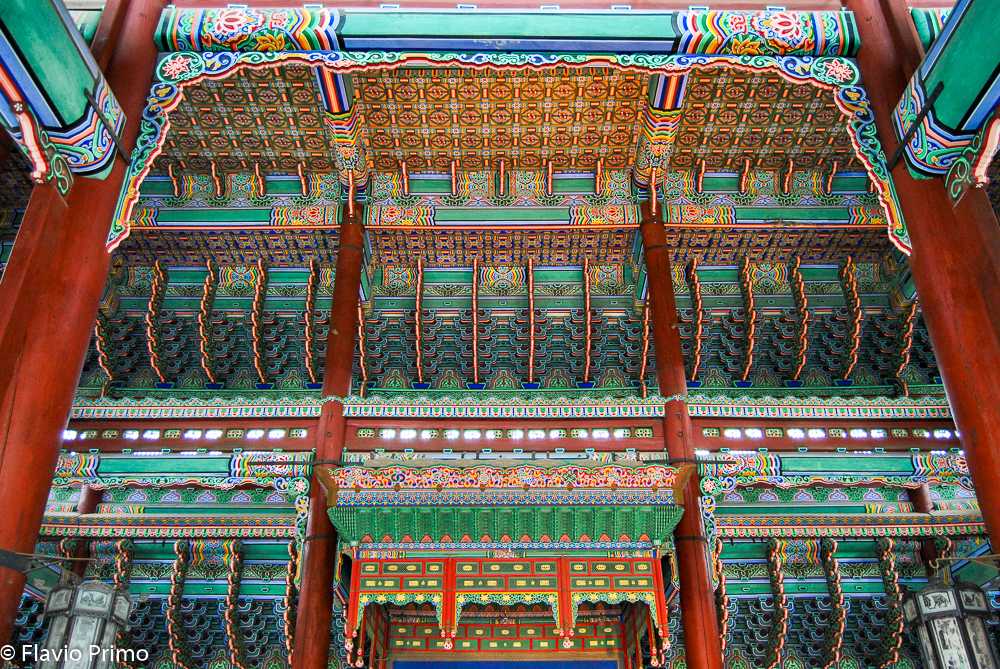 photo in the gallery