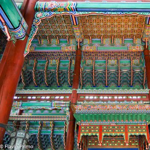 big size photo in the gallery