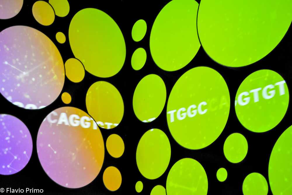 photo in the gallery