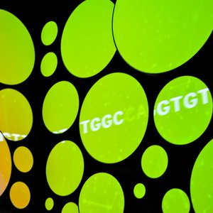 big size photo in the gallery