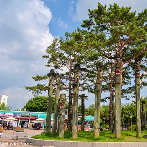 big size photo in the gallery