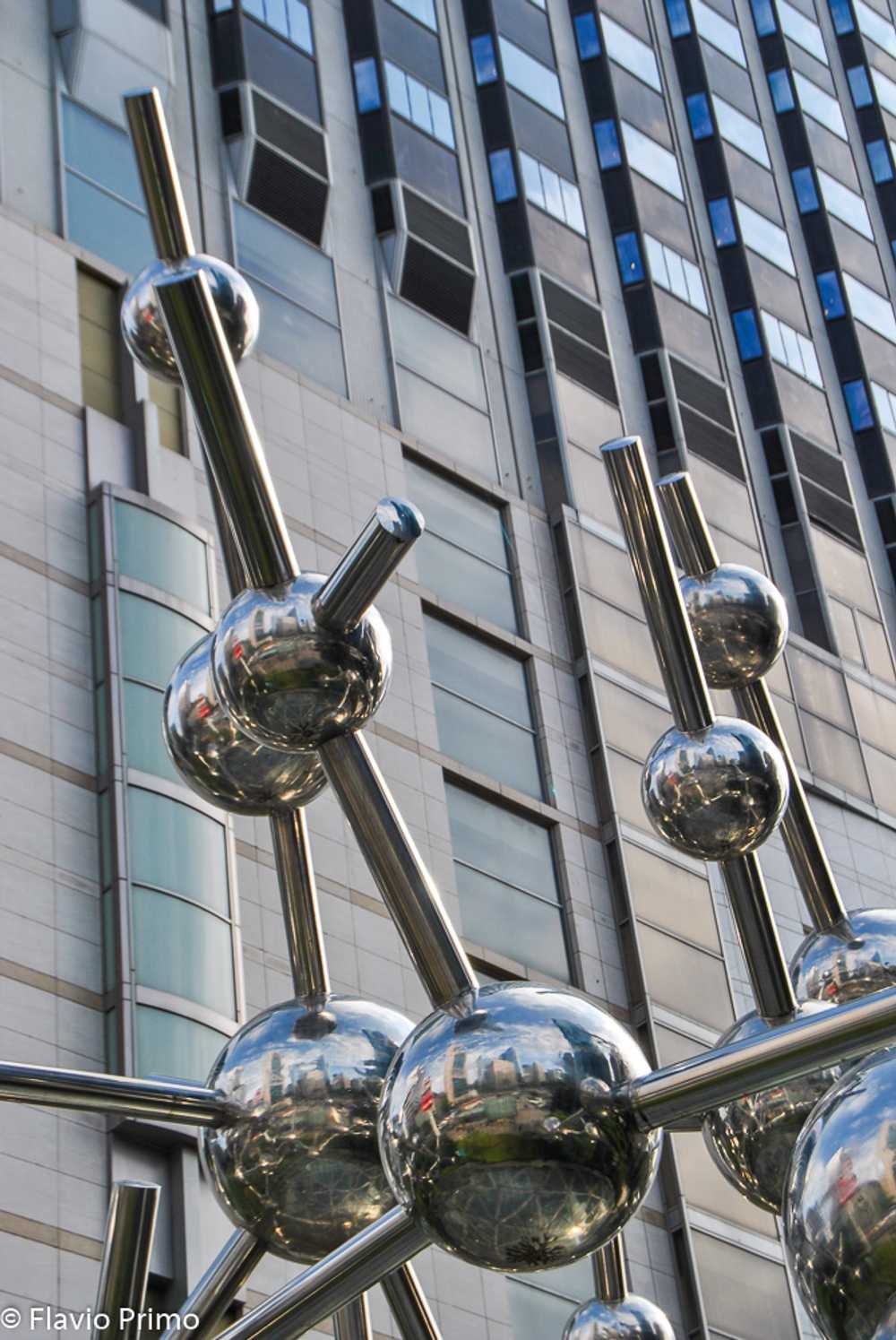 photo in the gallery