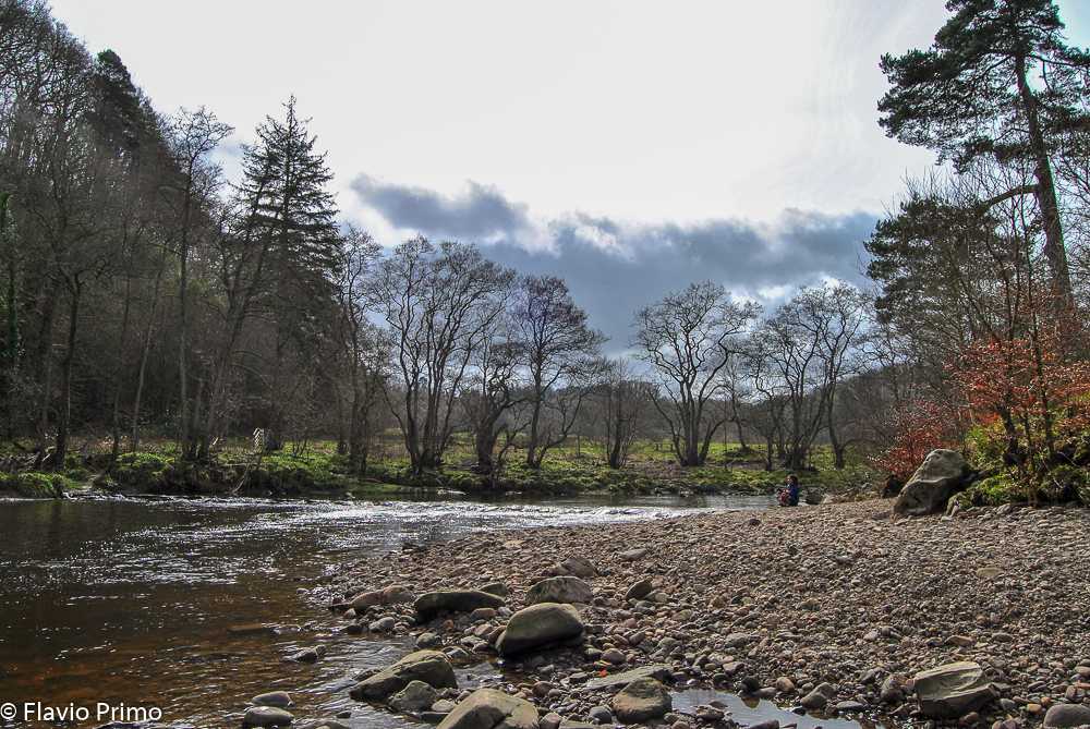 photo in the gallery