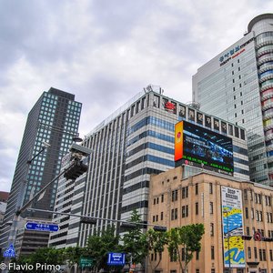 big size photo in the gallery