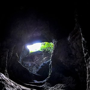 big size photo in the gallery