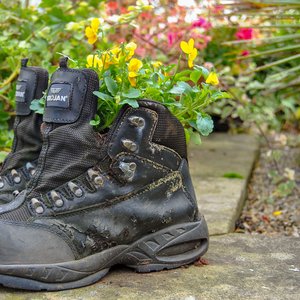 big size photo in the gallery