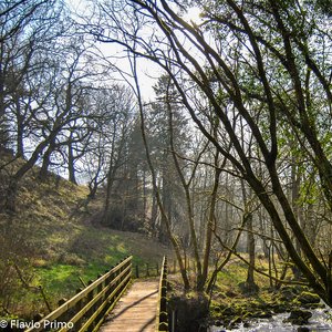 big size photo in the gallery