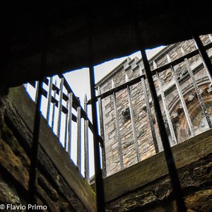 big size photo in the gallery