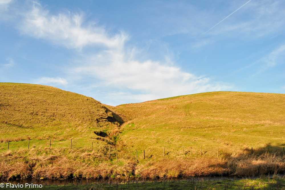 photo in the gallery