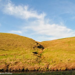 big size photo in the gallery