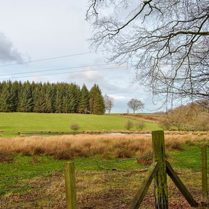 big size photo in the gallery