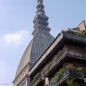 big size photo in the gallery