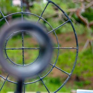 big size photo in the gallery