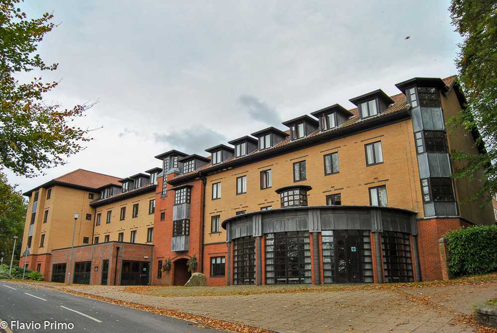 photo in the gallery