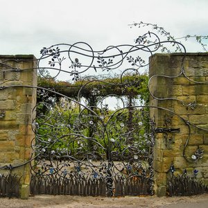 big size photo in the gallery