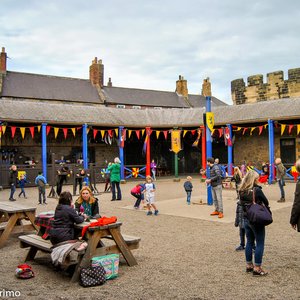 big size photo in the gallery