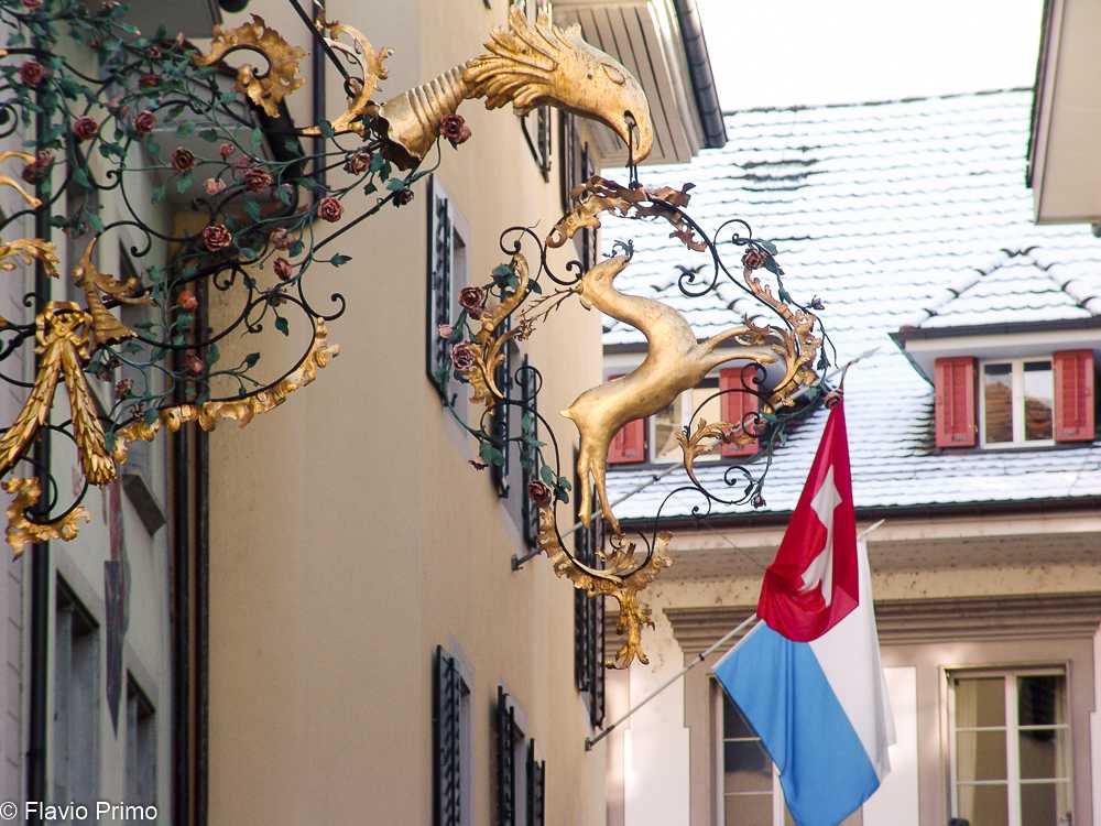 photo in the gallery