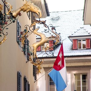 big size photo in the gallery