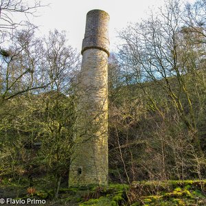 big size photo in the gallery