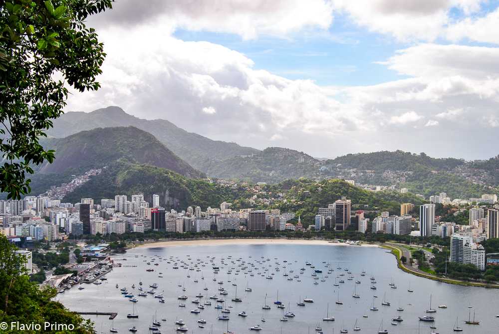 photo in the gallery