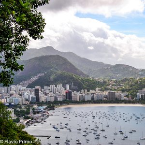 big size photo in the gallery