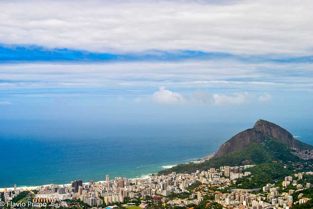 photo in the gallery