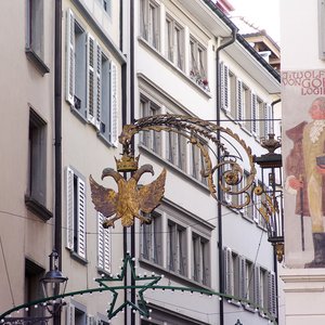 big size photo in the gallery