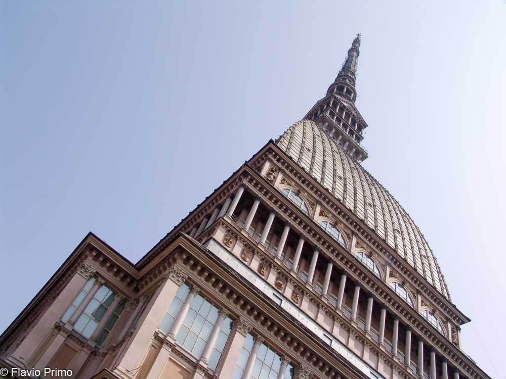 photo in the gallery