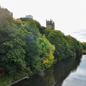 big size photo in the gallery