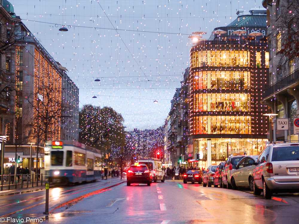 photo in the gallery