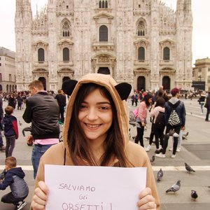 big size photo in the gallery