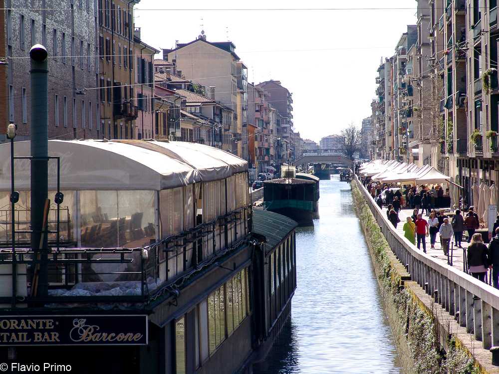 photo in the gallery