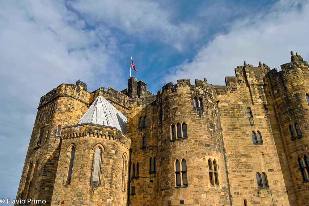 photo in the gallery