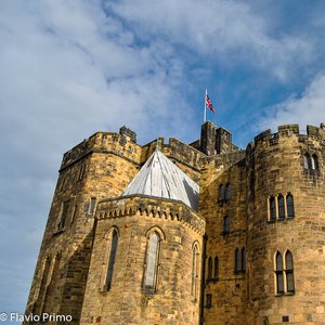 big size photo in the gallery