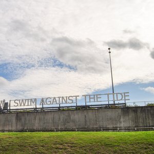 big size photo in the gallery