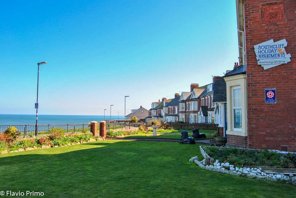 photo in the gallery