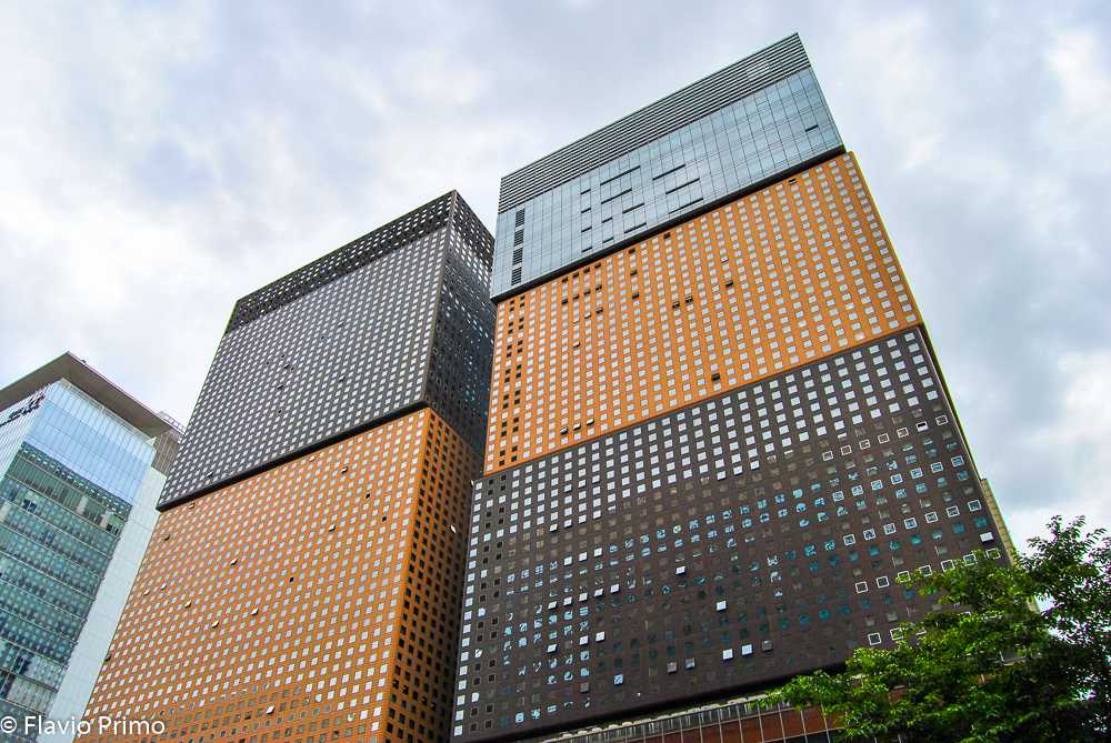 photo in the gallery