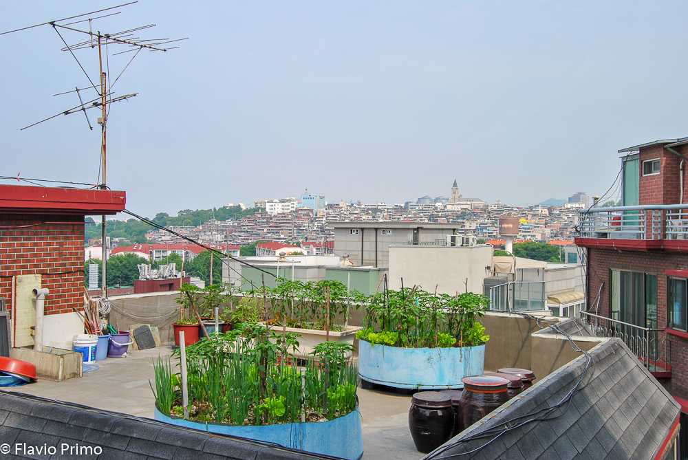 photo in the gallery