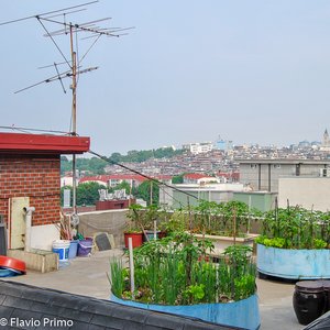 big size photo in the gallery